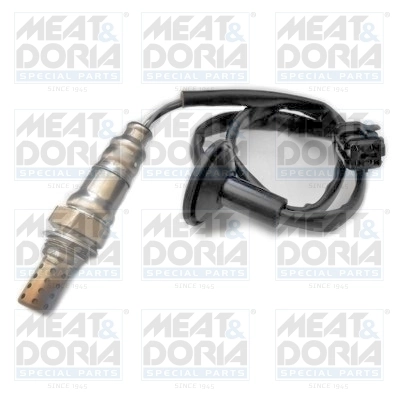 Oxygen Sensor